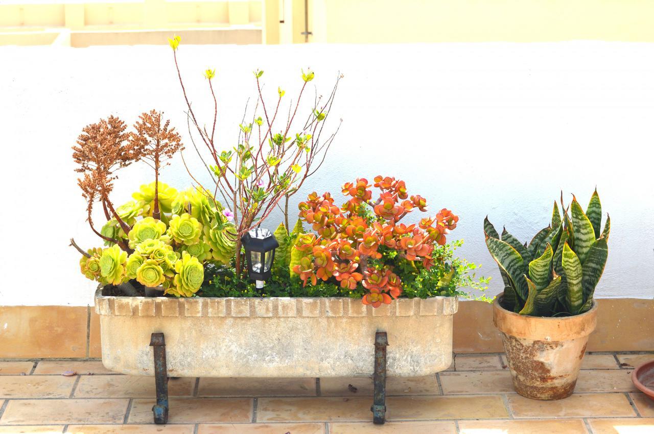 Apartamento El Mirador De Cádiz Exterior foto