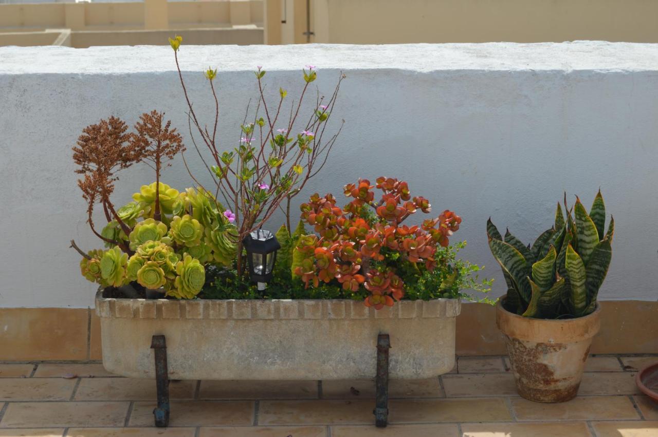 Apartamento El Mirador De Cádiz Exterior foto